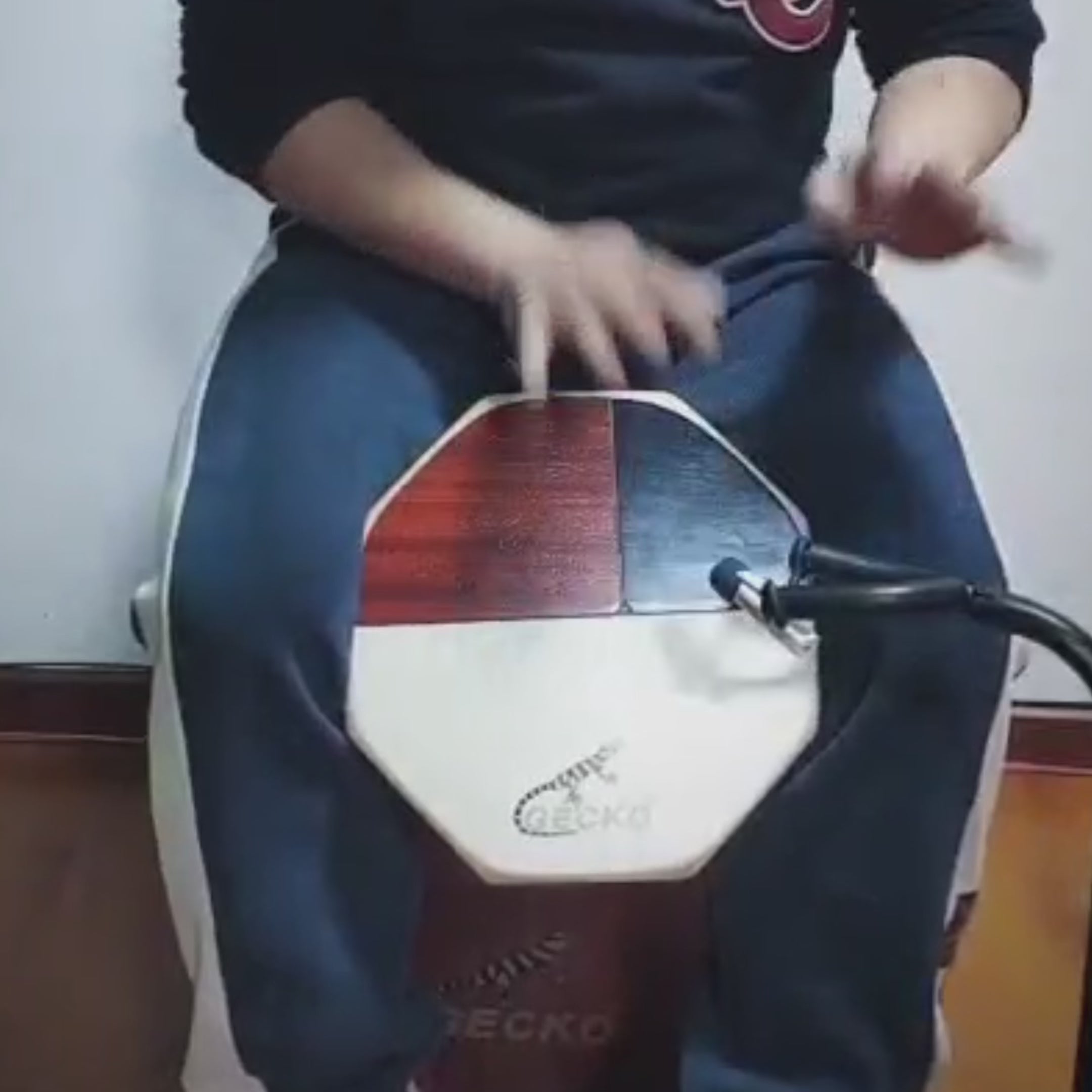 Gecko Cajon Travel Bongo Drum Wood Percussion Triple Sound w/Bag unique musical instrument Christmas gift