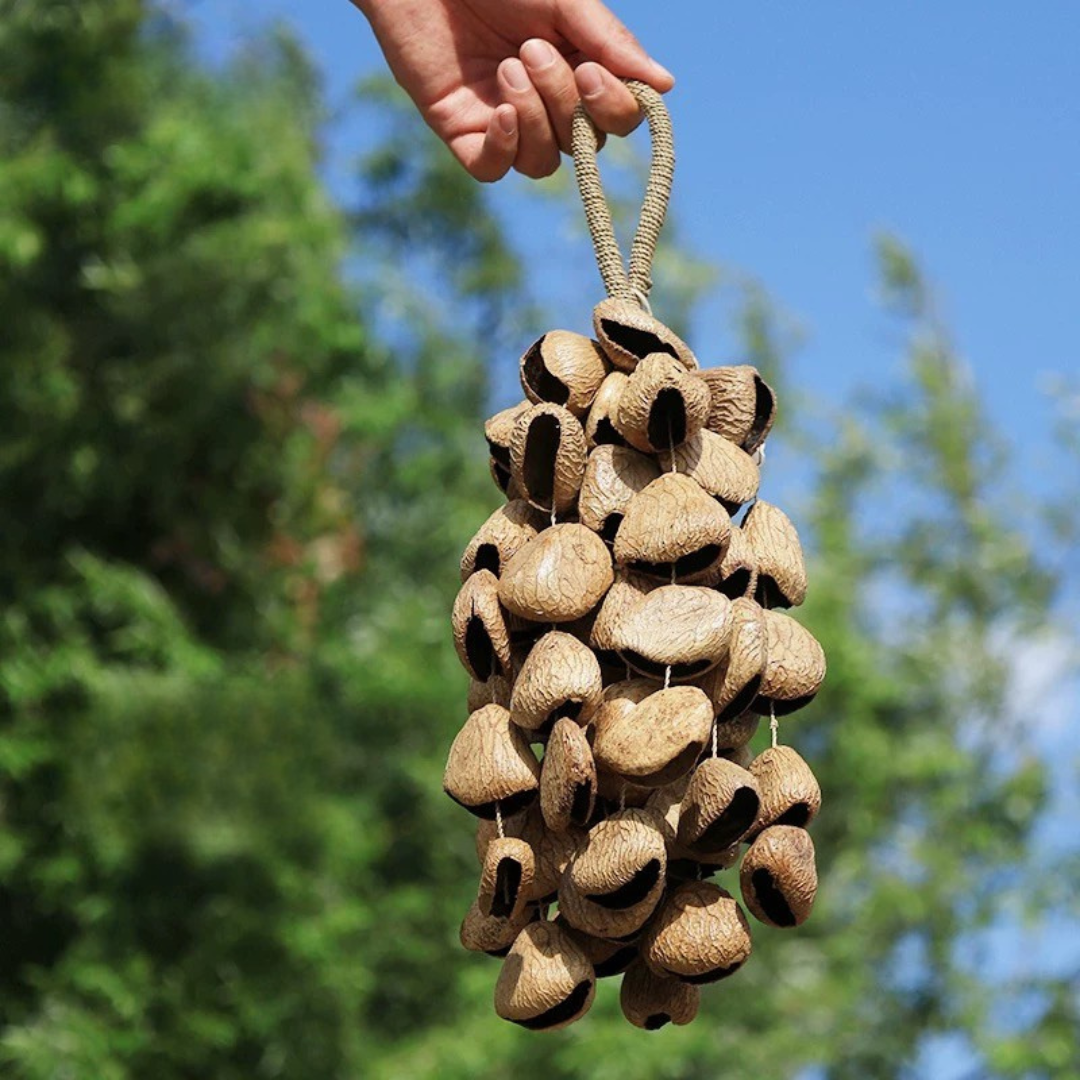 seed pod shaker