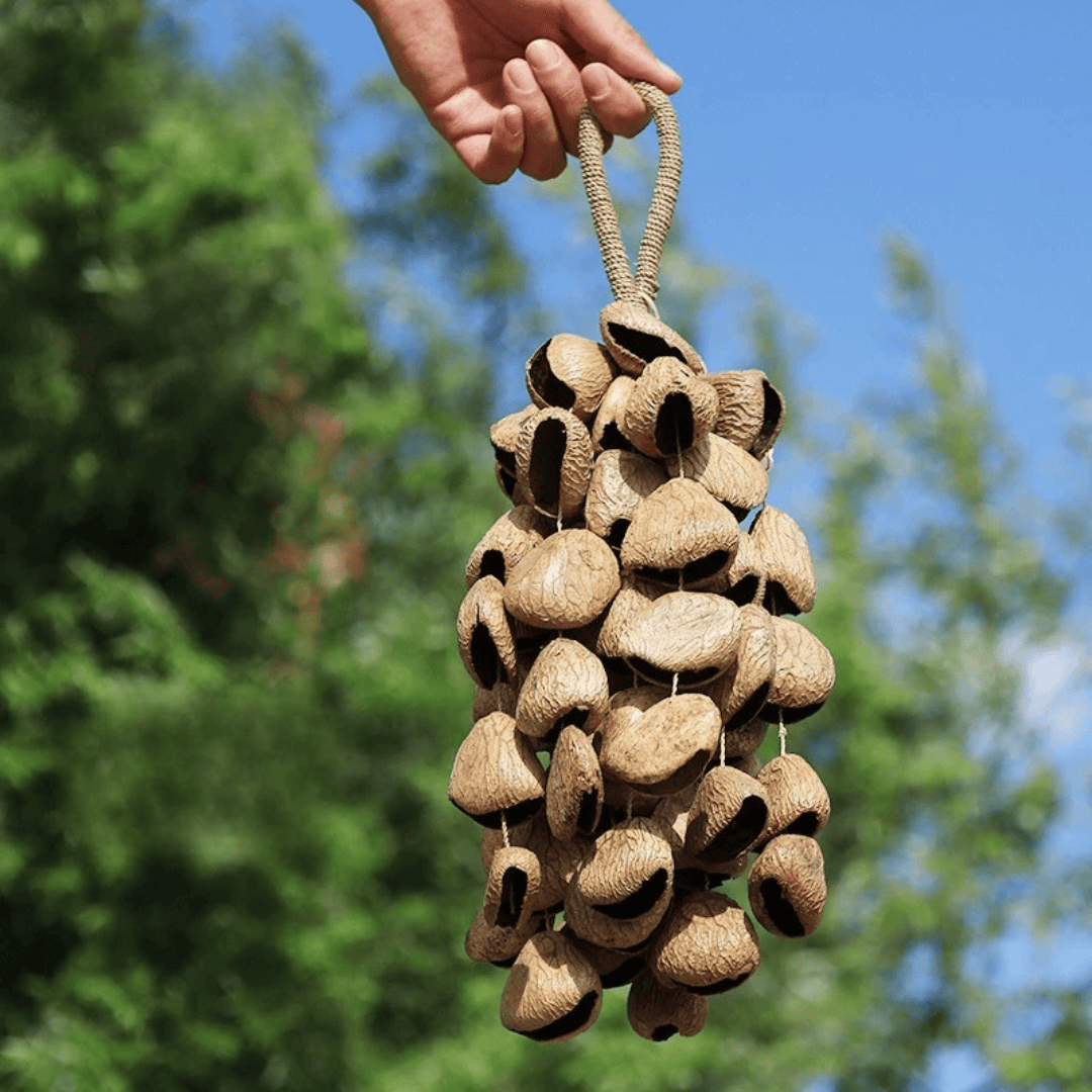 Panji Seed Pod Shaker Handmade